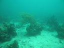 bz20050709_132956.jpg