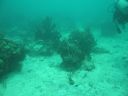bz20050709_133002.jpg