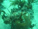 bz20050709_133024.jpg
