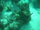 bz20050709_133038.jpg