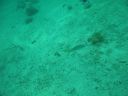 bz20050709_133144.jpg