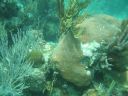 bz20050709_133702.jpg