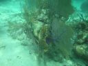 bz20050709_133708.jpg