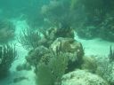 bz20050709_133752.jpg