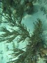 bz20050709_134008.jpg