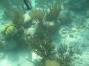 bz20050709_134018.jpg