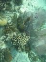 bz20050709_134032.jpg
