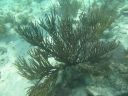 bz20050709_134122.jpg