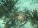 bz20050709_134146.jpg