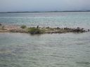 bz20050709_140308.jpg