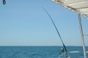 bz20050710_100750.jpg