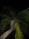 bz20050711_180518.jpg