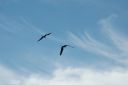 bz20050713_145344.jpg
