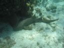 bz20050714_130152.jpg