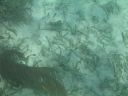 bz20050714_130426.jpg