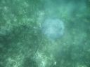 bz20050714_134616.jpg