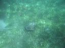 bz20050714_134626.jpg