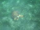 bz20050714_134714.jpg