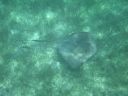 bz20050714_134950.jpg