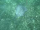 bz20050714_135054.jpg