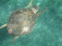 bz20050714_135126.jpg