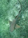 bz20050714_135418.jpg