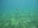 bz20050714_135636.jpg