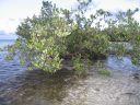 bz20050714_172216.jpg
