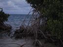 bz20050714_172736.jpg