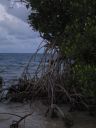 bz20050714_172744.jpg
