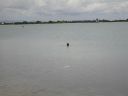 bz20050718_094130.jpg